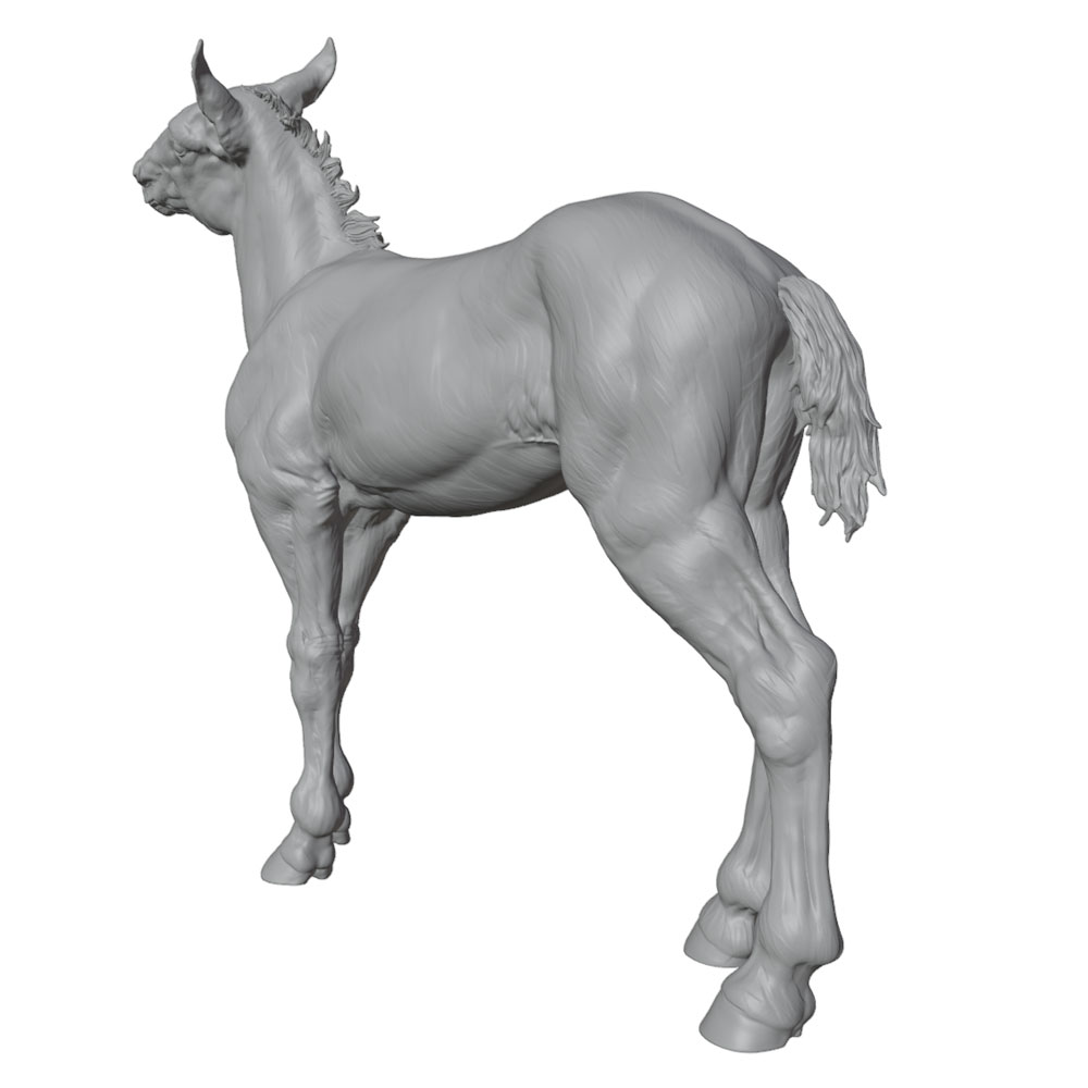Pencetakan Detail Tinggi, Patu - Model Kit Horse ulasan dan harga