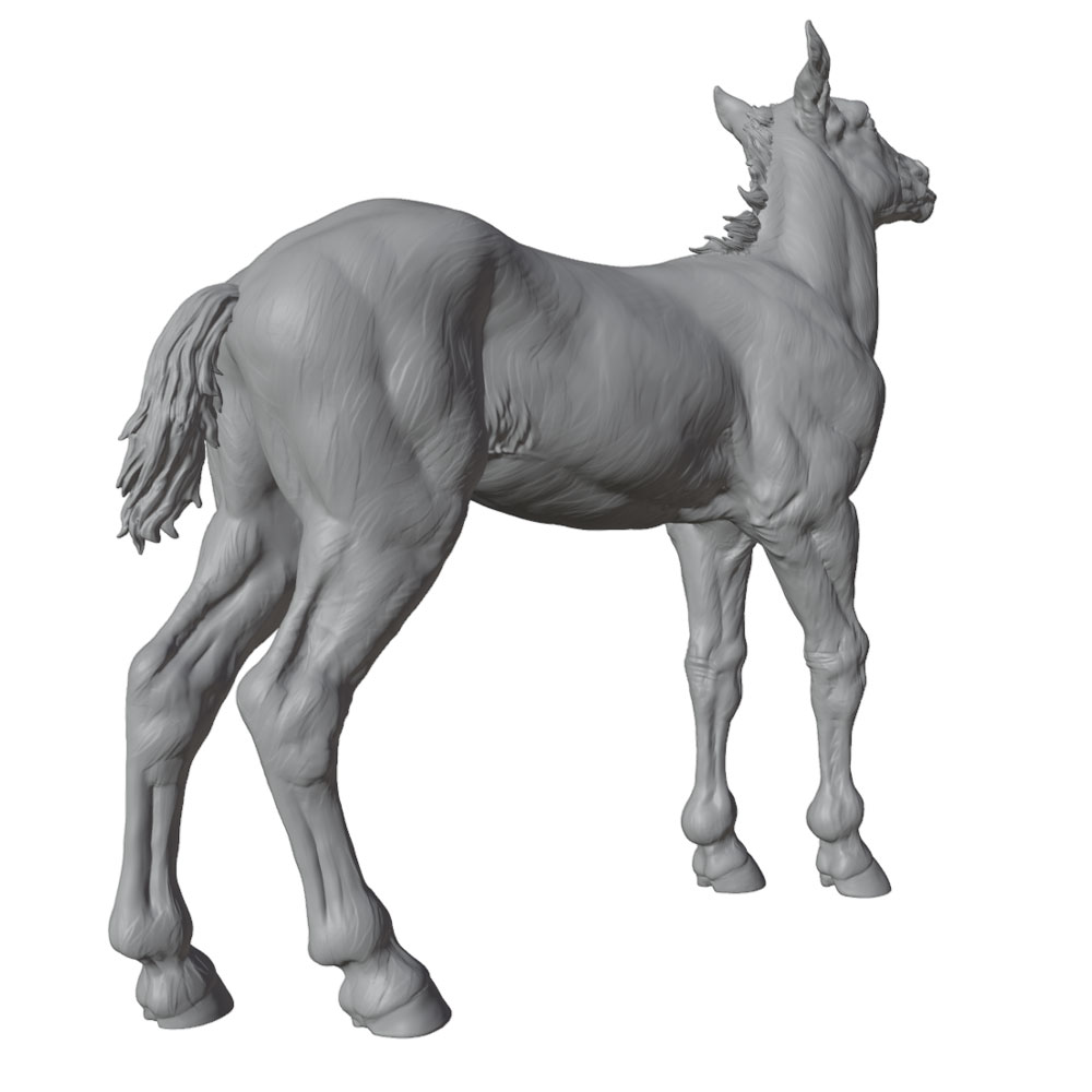 Pencetakan Detail Tinggi, Patu - Model Kit Horse ulasan dan harga
