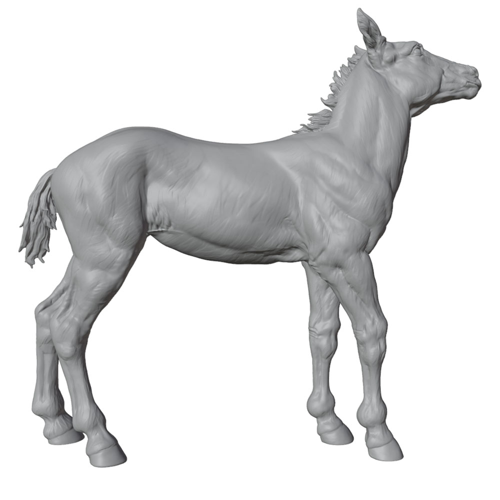 Pencetakan Detail Tinggi, Patu - Model Kit Horse ulasan dan harga